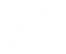 Vibes & Co.
