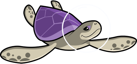 Cosmo Turtle